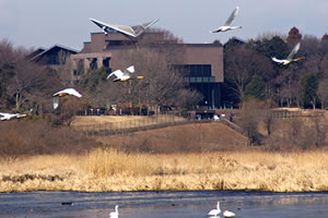 茨城県自然博物館