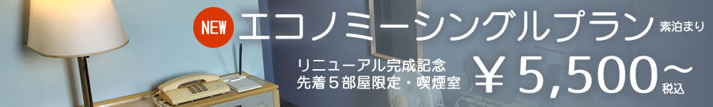 エコノミーシングルプラン