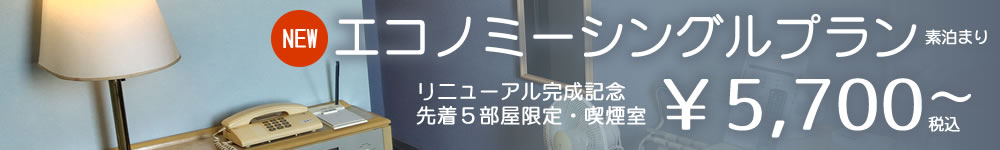 エコノミーシングルプラン