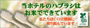 常総きぬ川花火大会